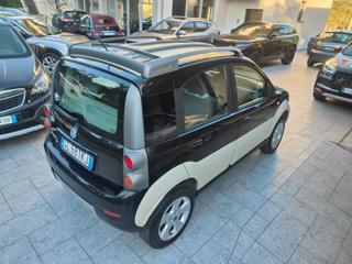 FIAT Panda usata, con Fendinebbia
