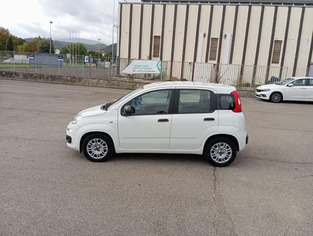 FIAT Panda usata 18