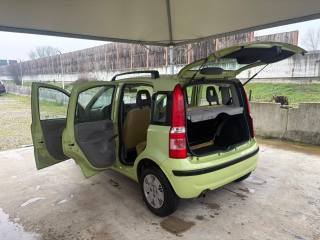 FIAT Panda usata 38