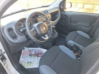 FIAT Panda usata 20