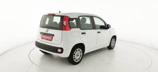 FIAT Panda usata, con Climatizzatore
