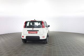 FIAT Panda usata 4