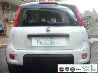 FIAT Panda usata, con Servosterzo
