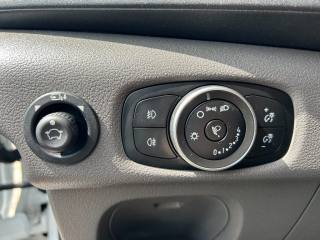FORD Transit usata, con Fendinebbia
