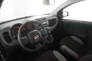 FIAT Panda usata 1