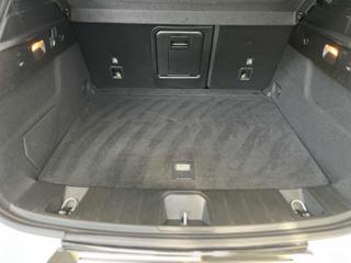 ALFA ROMEO Tonale usata, con Sensori di parcheggio posteriori
