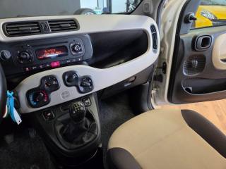 FIAT Panda usata, con Fendinebbia