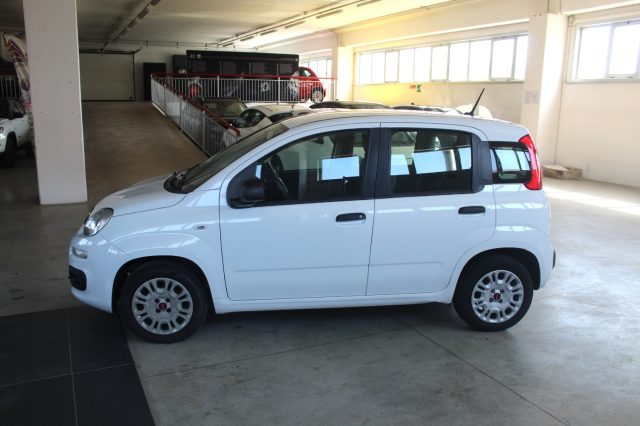 FIAT Panda usata, con Airbag Passeggero