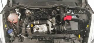 FORD Fiesta usata 55