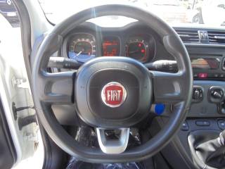 FIAT Panda usata 25