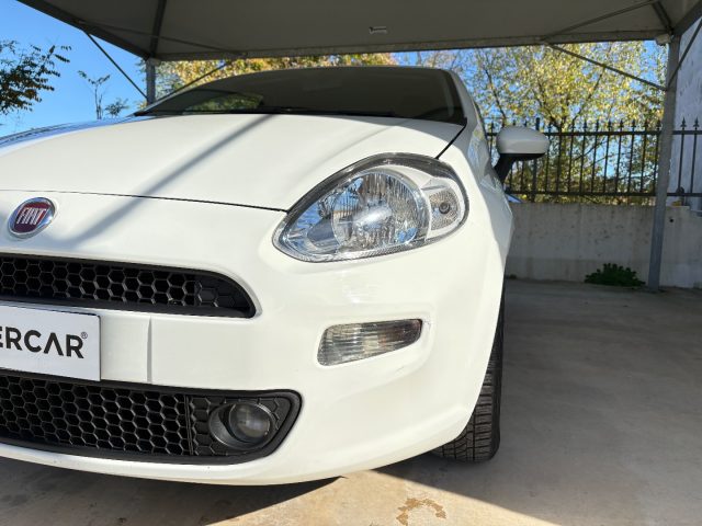 FIAT Punto usata 37