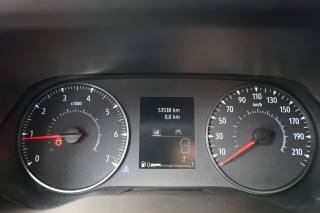 RENAULT Trafic usata 24