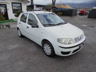 FIAT Punto usata 9