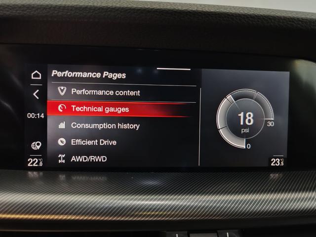 ALFA ROMEO Stelvio usata, con ESP