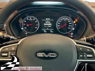 EVO Evo3 usata, con Fendinebbia