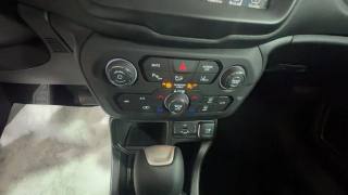 JEEP Renegade usata, con ESP