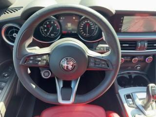 ALFA ROMEO Stelvio usata, con Chiusura centralizzata