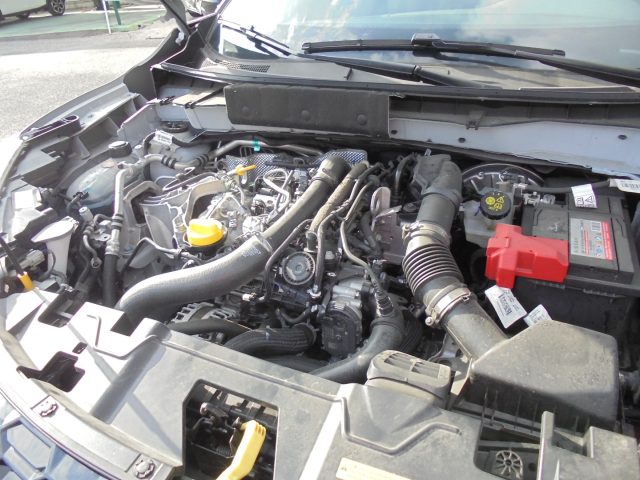 NISSAN Juke usata 45