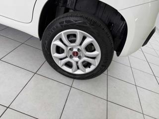 FIAT Panda usata 12