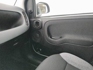 FIAT Panda usata 19
