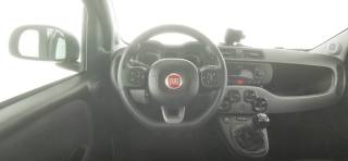 FIAT Panda usata 35