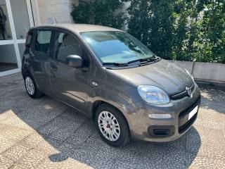 FIAT Panda usata 2