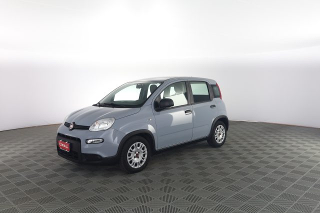 FIAT Panda usata 7
