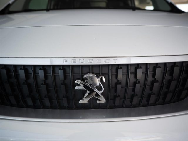 PEUGEOT Expert usata 1