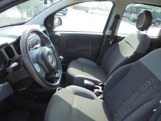 FIAT Panda usata 16