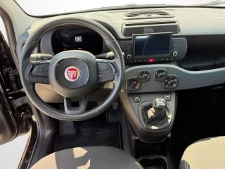FIAT Panda usata, con Immobilizzatore elettronico