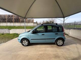 FIAT Panda usata, con Fendinebbia