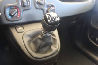FIAT Panda usata 15