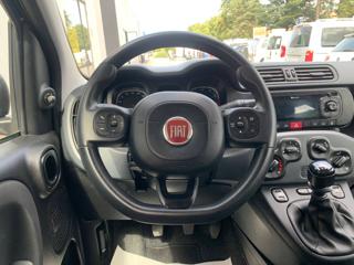 FIAT Panda usata, con Controllo trazione