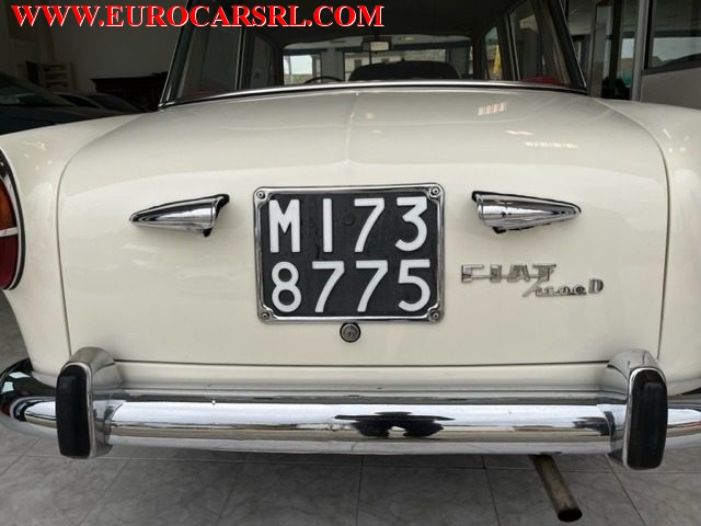 FIAT 1100 usata 18
