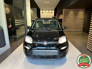FIAT Panda usata 14