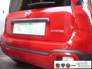 FIAT Panda Cross usata 6