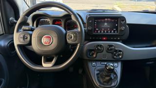 FIAT Panda usata, con Cronologia tagliandi