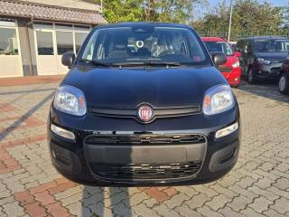 FIAT Panda usata, con Airbag Passeggero