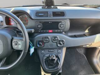 FIAT Panda usata 12