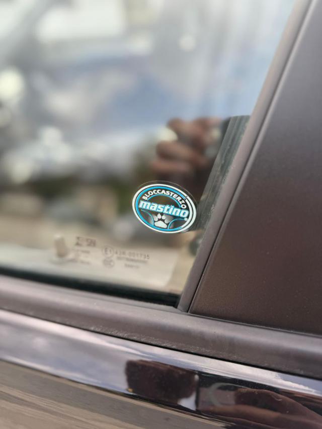 BMW 316 usata, con Filtro antiparticolato