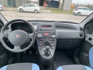 FIAT Panda usata, con Fendinebbia