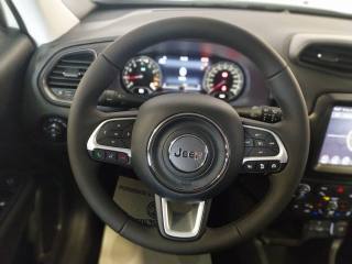 JEEP Renegade usata, con Boardcomputer