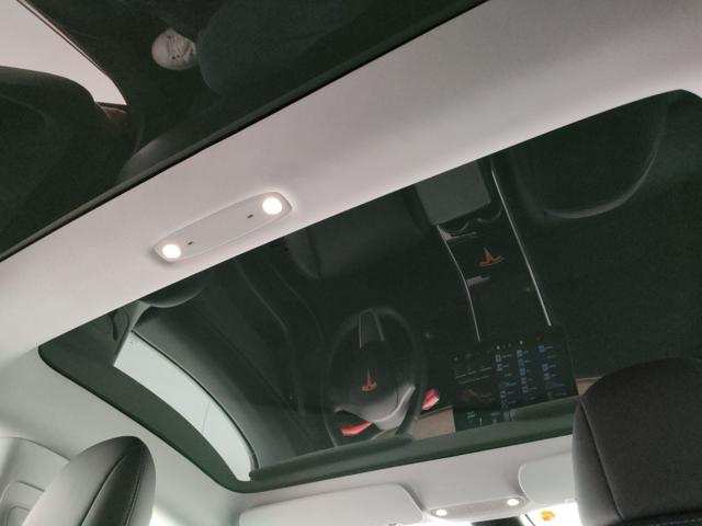 TESLA Model 3 usata, con Fendinebbia