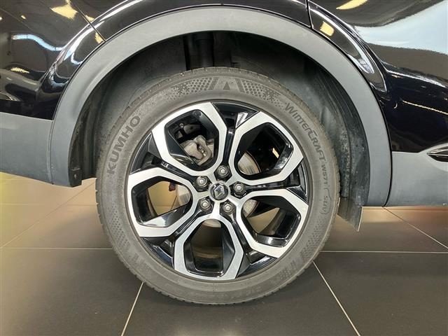 RENAULT Arkana usata, con Autoradio