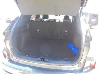 FORD Kuga usata, con Interni in pelle
