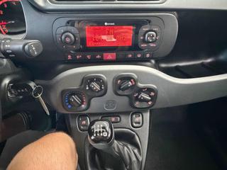 FIAT Panda usata 12