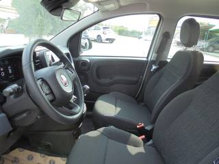 FIAT Panda usata 18