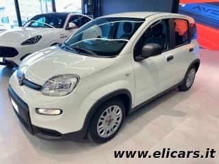 FIAT Panda usata, con Airbag Passeggero