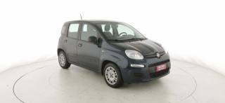FIAT Panda usata 23