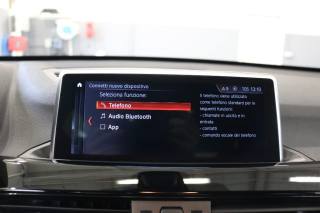BMW X1 usata, con Frenata d